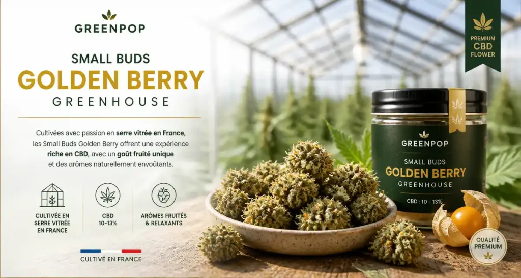 Greenpop⎜Small Buds GOLDEN BERRY GREENHOUSE