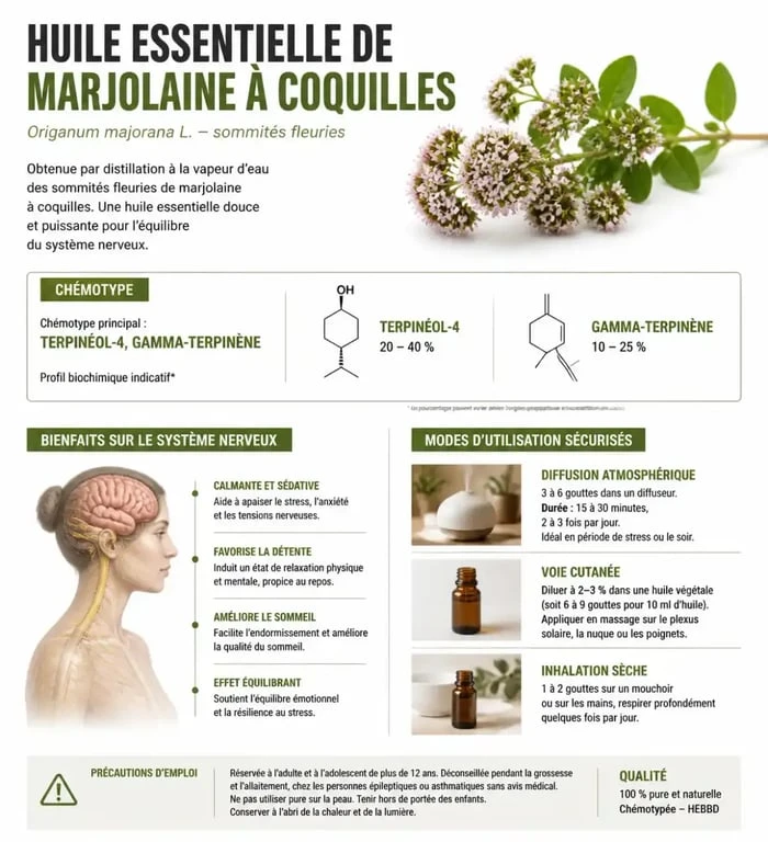 Infographie des bienfaits et propriétés de l'huile essentielle de marjolaine à coquilles
